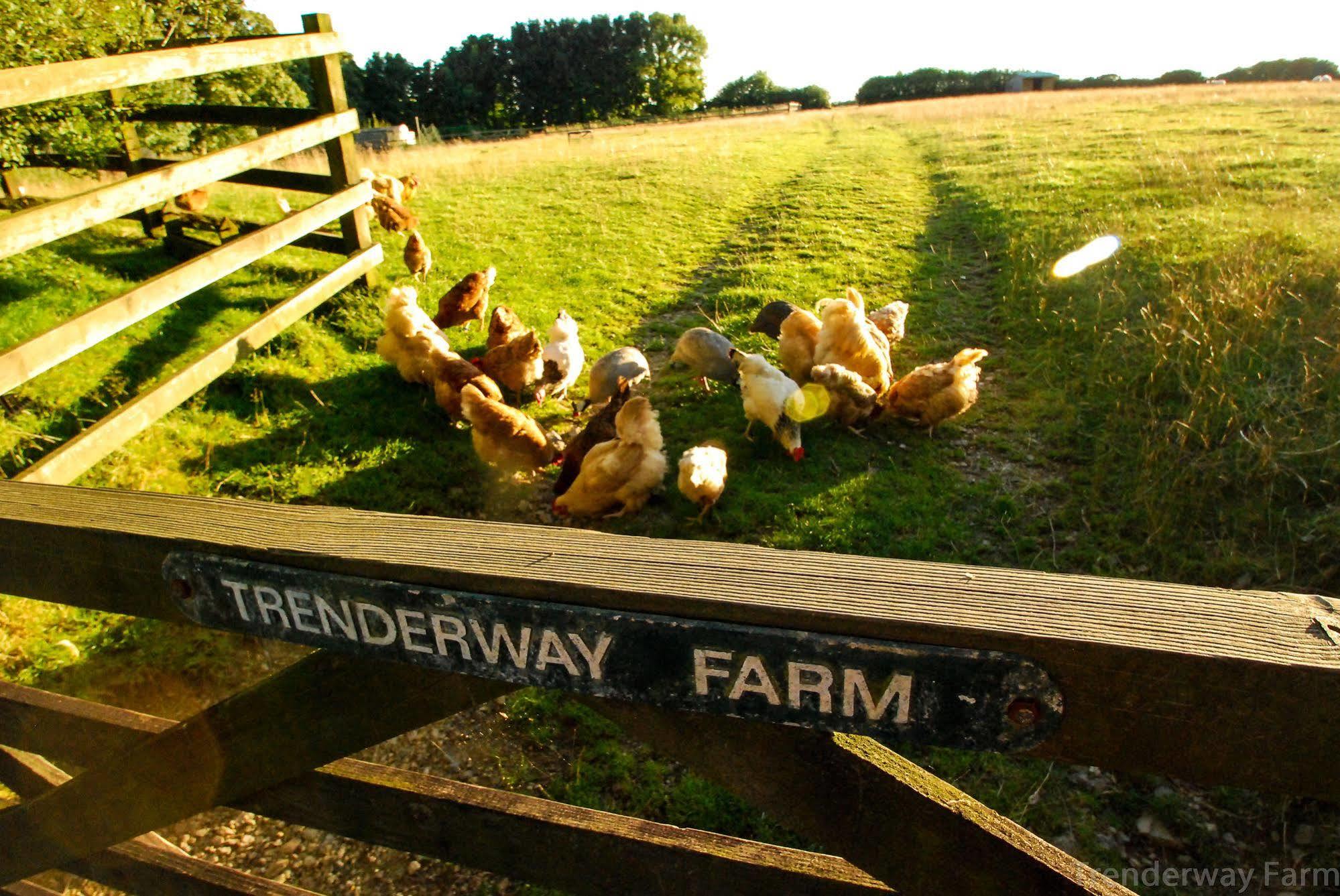 Trenderway Farm Bed & Breakfast Лу Екстериор снимка